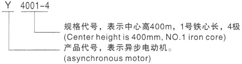 西安泰富西玛Y系列(H355-1000)高压YKK4505-8/355KW三相异步电机型号说明